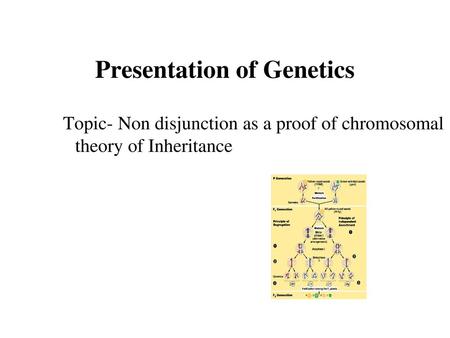 Presentation of Genetics