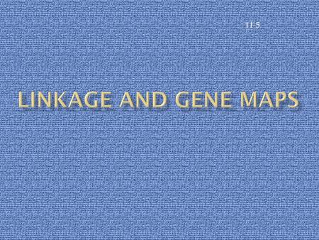 11-5 Linkage and Gene Maps.