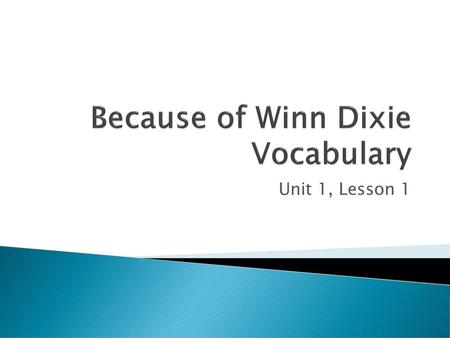 Because of Winn Dixie Vocabulary