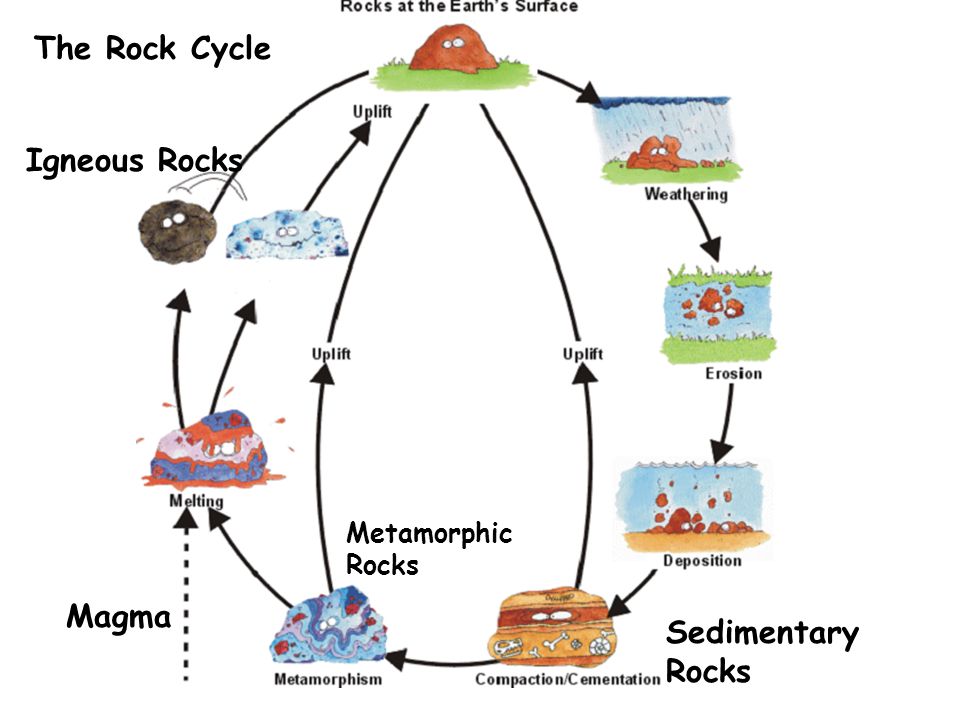 Igneous Rock, Sedimentary Rocks, Metamorphic Rocks, Rock Cycle