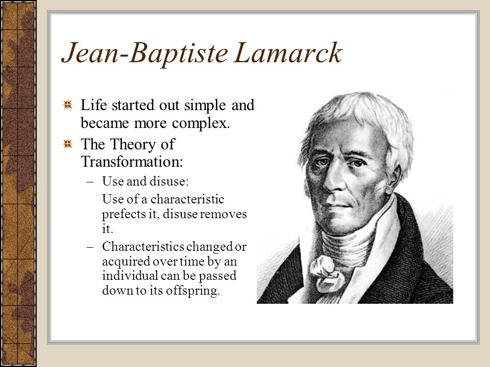 Jean-Baptiste Lamarck Life started out simple and became more complex. The  Theory of Transformation: –Use and disuse: Use of a characteristic  prefects. - ppt download