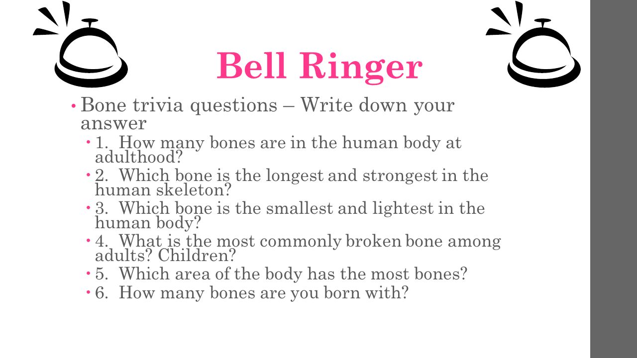 Bell Ringer Bone Trivia Questions Write Down Your Answer 1 How Many Bones Are In The Human Body At Adulthood 2 Which Bone Is The Longest And Strongest Ppt Download