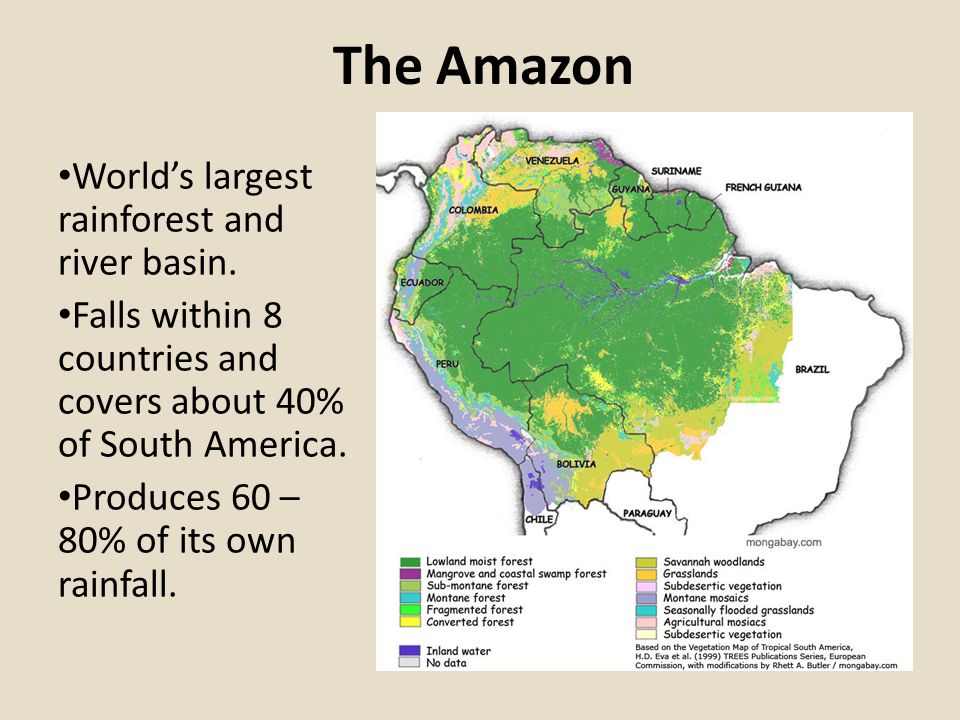 The Amazon World S Largest Rainforest And River Basin Falls Within 8 Countries And Covers About 40 Of South America Produces 60 80 Of Its Own Rainfall Ppt Download