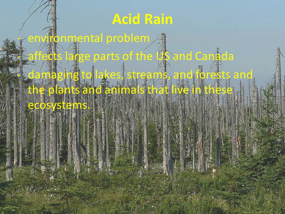 Acid Rain environmental problem - ppt video online download