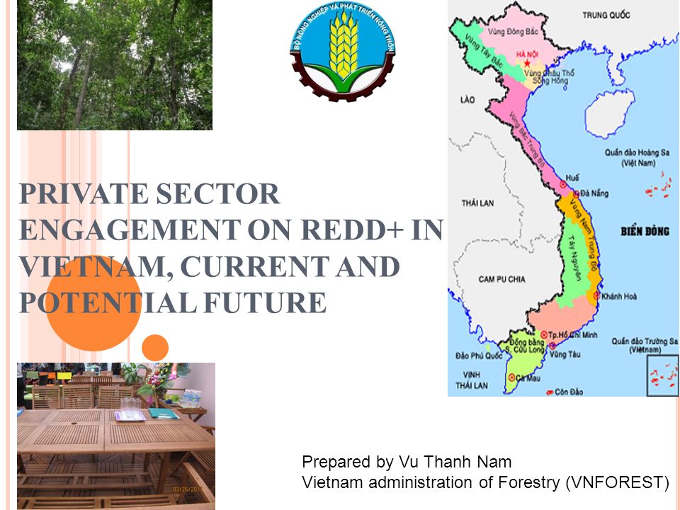 PRIVATE SECTOR ENGAGEMENT ON REDD+ IN VIETNAM, CURRENT AND POTENTIAL FUTURE  Prepared by Vu Thanh Nam Vietnam administration of Forestry (VNFOREST) -  ppt download