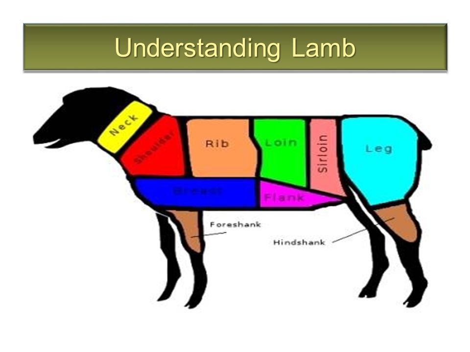 Understanding Lamb. The Definition of Lamb Meat of sheep slaughtered when  they are less than one year old, after 12 months it is call mutton Spring  lamb. - ppt download