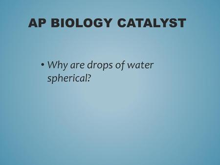 AP BIOLOGY CatalysT Why are drops of water spherical?
