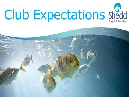 Club Expectations.