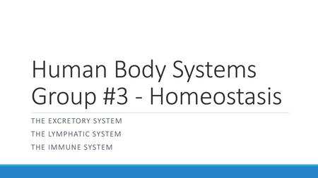 Human Body Systems Group #3 - Homeostasis