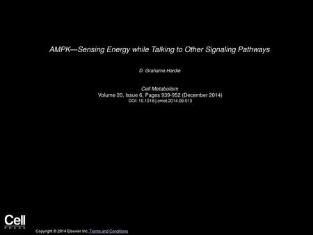 AMPK—Sensing Energy while Talking to Other Signaling Pathways