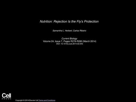 Nutrition: Rejection Is the Fly’s Protection