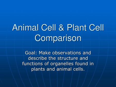 Animal Cell & Plant Cell Comparison