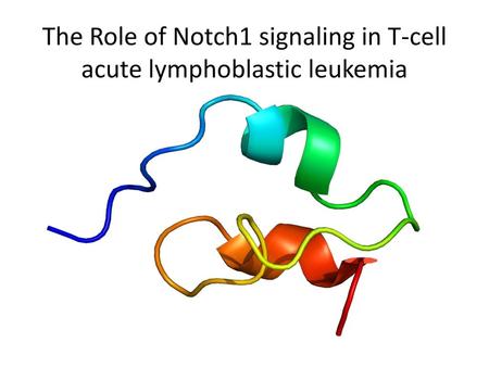 The Role of Notch1 signaling in T-cell acute lymphoblastic leukemia