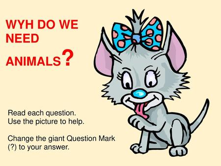 WYH DO WE NEED ANIMALS? Read each question. Use the picture to help.