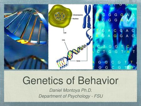 Evolution of vertebrate visual pigments - ppt download