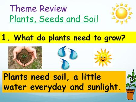Theme Review Plants, Seeds and Soil