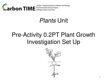 Plants Unit Pre-Activity 0.2PT Plant Growth Investigation Set Up