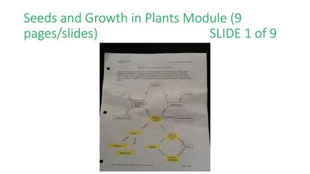 Seeds and Growth in Plants Module (9 pages/slides) SLIDE 1 of 9