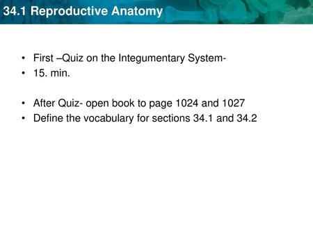 First –Quiz on the Integumentary System-