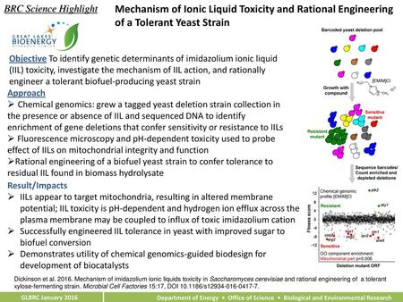 BRC Science Highlight Mechanism of Ionic Liquid Toxicity and Rational Engineering of a Tolerant Yeast Strain Objective To identify genetic determinants.