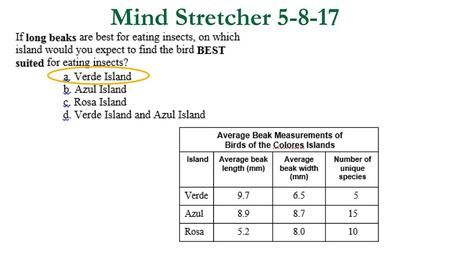 Mind Stretcher 5-8-17.