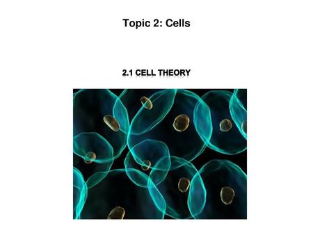 Topic 2: Cells 2.1 Cell Theory.