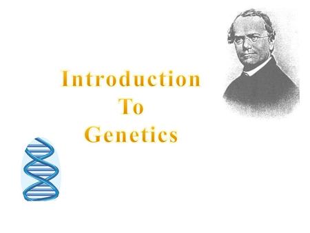 Introduction To Genetics.