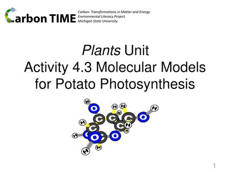 Plants Unit Activity 4.3 Molecular Models for Potato Photosynthesis