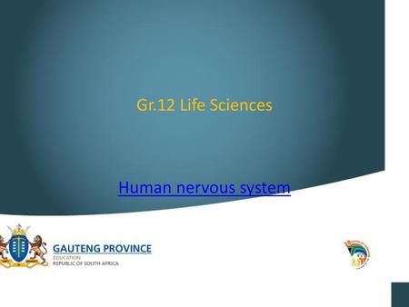 Gr.12 Life Sciences Human nervous system.