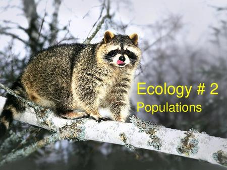 Ecology # 2 Populations.