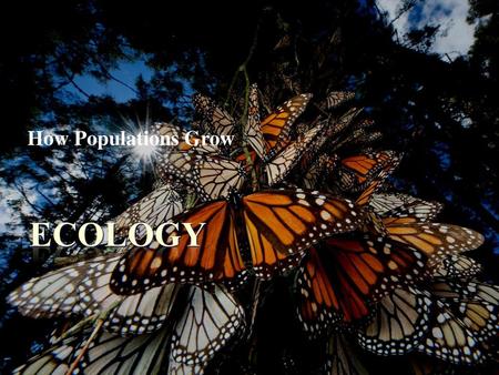 How Populations Grow Ecology.