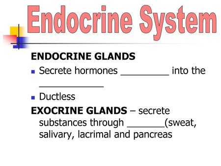 Endocrine System ENDOCRINE GLANDS