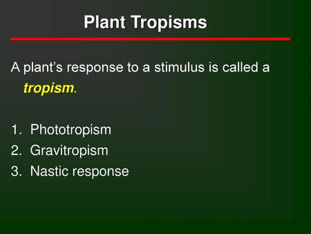 Plant Tropisms A plant’s response to a stimulus is called a tropism.