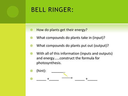 BELL RINGER: How do plants get their energy?