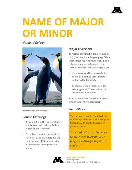 Name of Major or MInor Name of College Major Overview Learn More