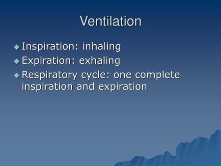 Ventilation Inspiration: inhaling Expiration: exhaling