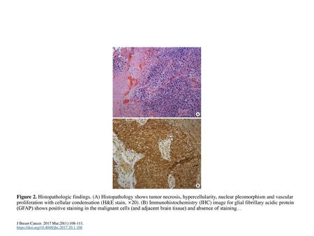 Figure 2. Histopathologic findings