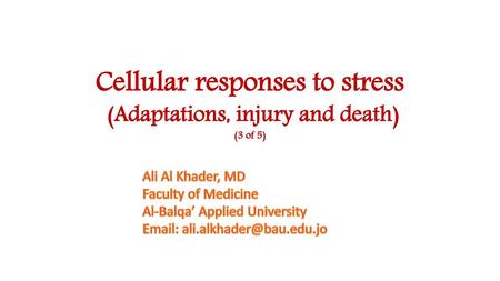 Cellular responses to stress (Adaptations, injury and death) (3 of 5)