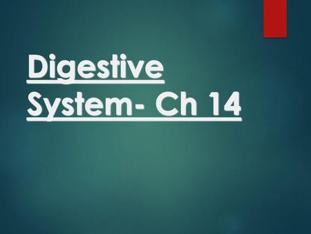 Digestive System- Ch 14.