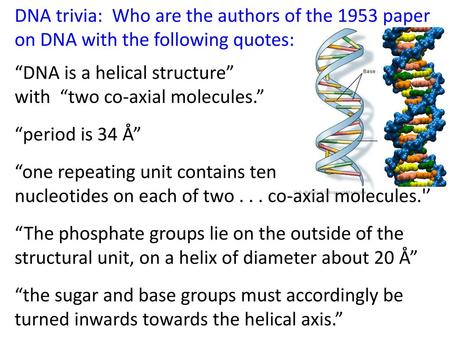“DNA is a helical structure” with  “two co-axial molecules.”