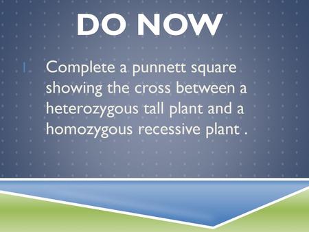Do Now Complete a punnett square showing the cross between a heterozygous tall plant and a homozygous recessive plant .
