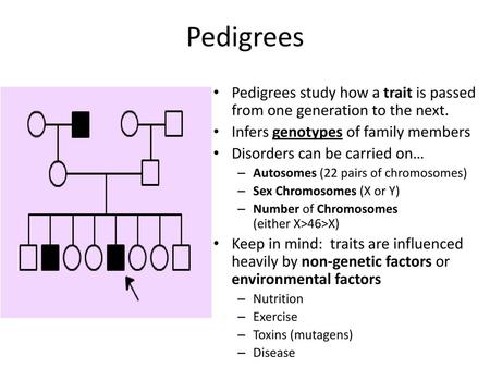 Pedigrees Pedigrees study how a trait is passed from one generation to the next. Infers genotypes of family members Disorders can be carried on… Autosomes.
