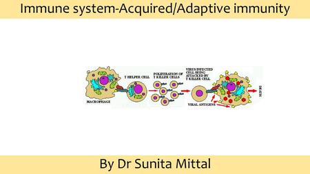 Immune system-Acquired/Adaptive immunity