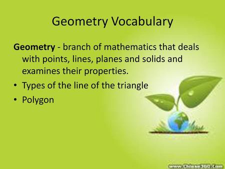 Geometry Vocabulary Geometry - branch of mathematics that deals with points, lines, planes and solids and examines their properties. Types of the line.