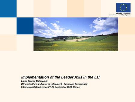 Implementation of the Leader Axis in the EU