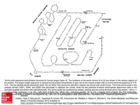 Amino acid sequence and tentative structure for human prepro factor IX