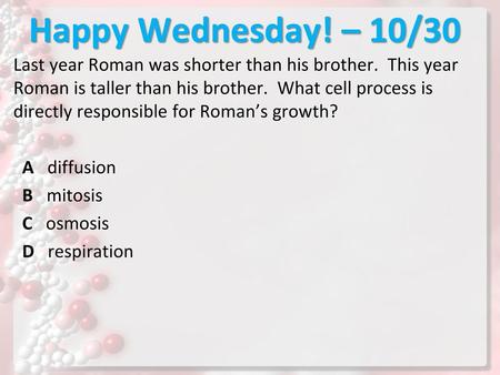 Happy Wednesday! – 10/30 Last year Roman was shorter than his brother. This year Roman is taller than his brother. What cell process is directly responsible.