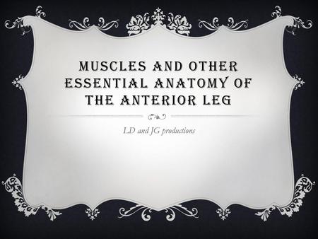 Muscles and other essential Anatomy of the anterior leg