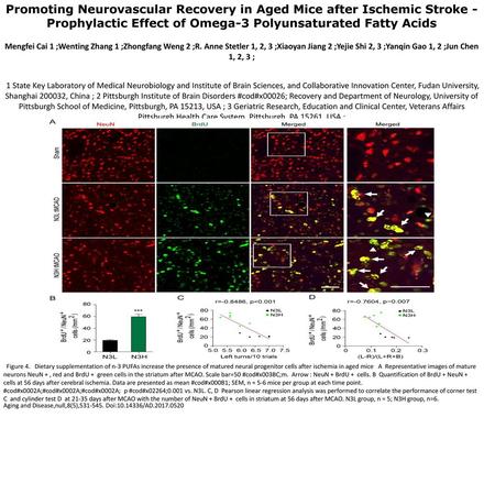 Promoting Neurovascular Recovery in Aged Mice after Ischemic Stroke - Prophylactic Effect of Omega-3 Polyunsaturated Fatty Acids Mengfei Cai 1 ;Wenting.