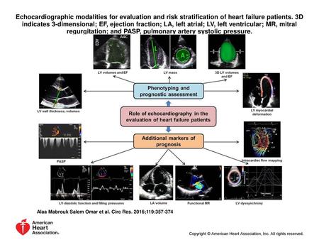 Echocardiographic modalities for evaluation and risk stratification of heart failure patients. 3D indicates 3-dimensional; EF, ejection fraction; LA, left.